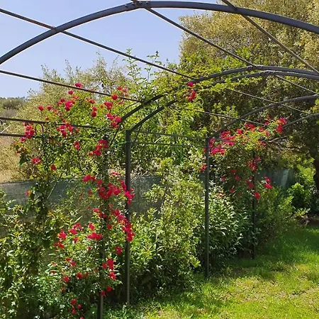 Bed & Breakfast Artemisia