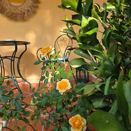 Bed & Breakfast Artemisia SantʼAnna Arresi